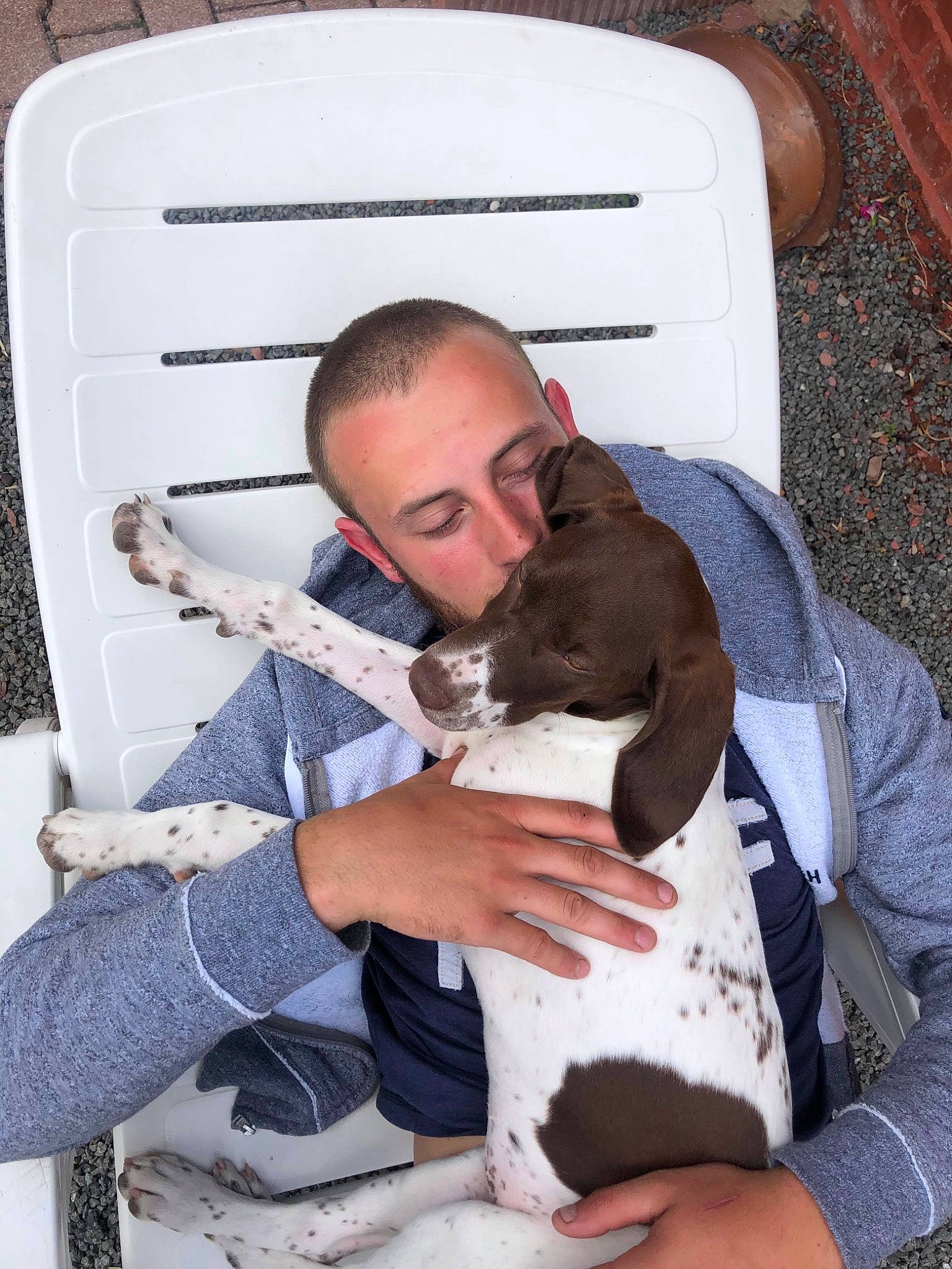 Rubis a rejoint le concours — aidez-le/la à gagner de superbes lots ! comfort, companion_dog, dog, dog_breed, liver, love, working_dog