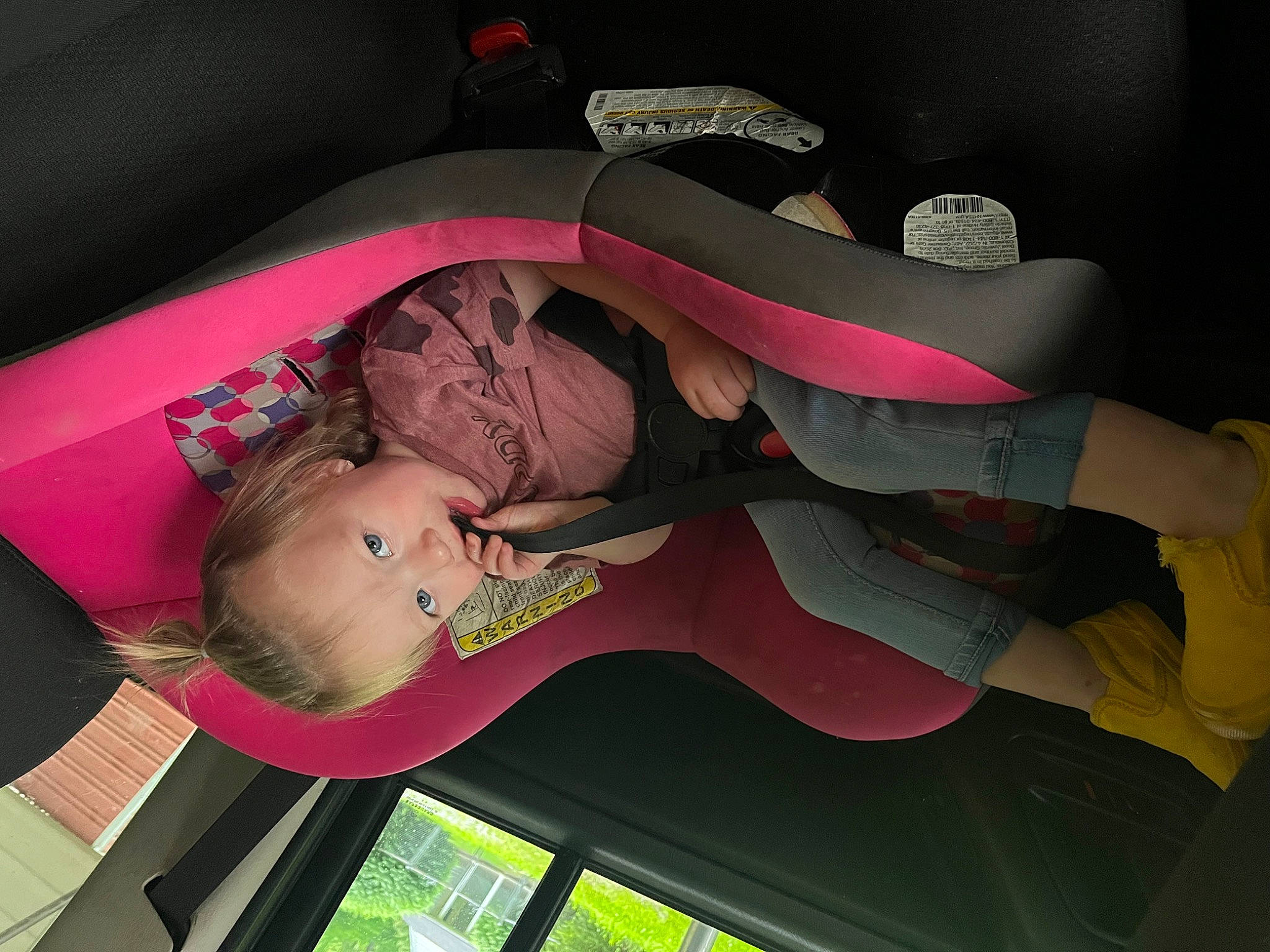 Egypt is registered to the contest to win money with this photo: baby, baby_carriage, baby_products, car_seat, child, comfort, fun, magenta, person, pink, room, suit, tie, toddler