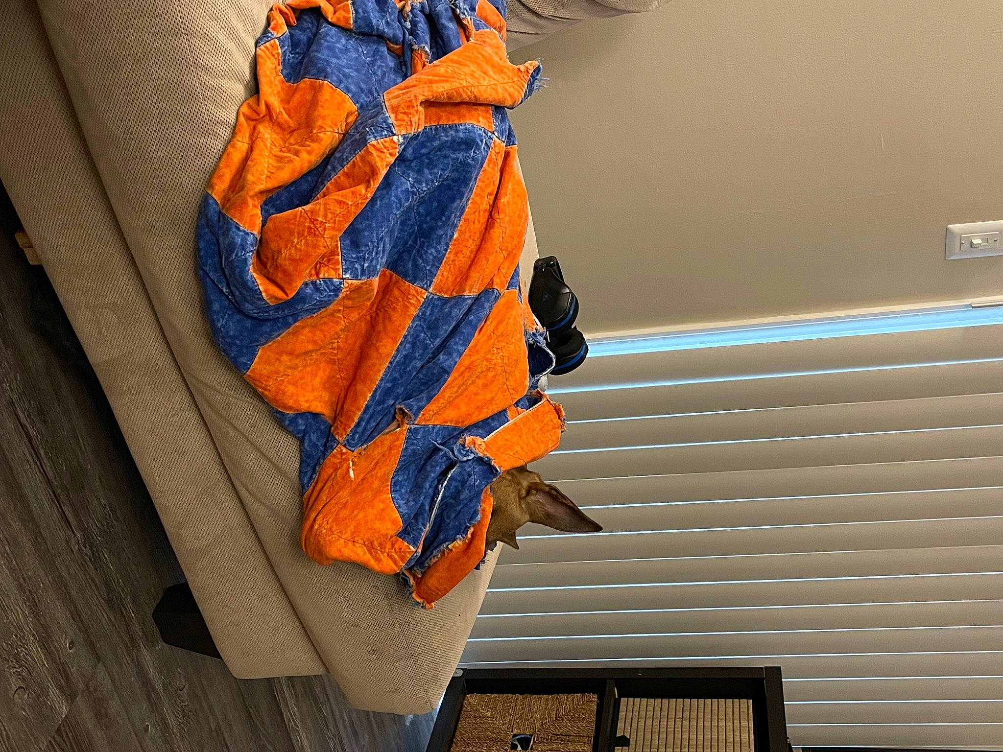Ringo is registered to the contest to win money with this photo: art, bag, carmine, creative_arts, electric_blue, fashion_accessory, linens, luggage_and_bags, orange, pattern, peach, room, scarf, shawl, stole, tints_and_shades, window, window_blind, window_covering, wood