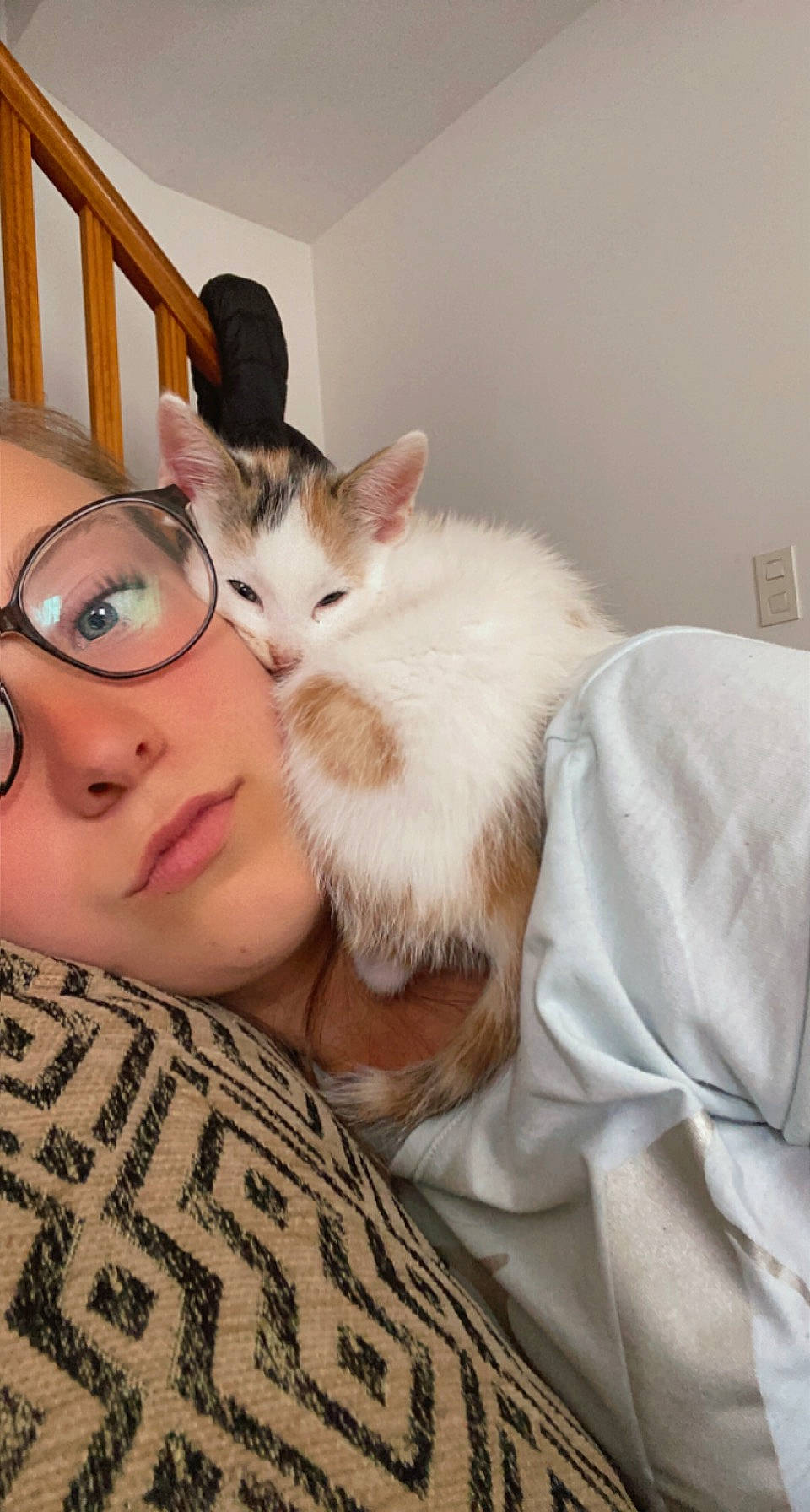 Kyara participe au concours pour gagner de l'argent avec cette photo : carnivore, cat, claw, comfort, domestic_short_haired_cat, ear, fawn, felidae, fur, gesture, iris, lap, moustache, paw, room, sitting, small_to_medium_sized_cats, snout, tail, whiskers