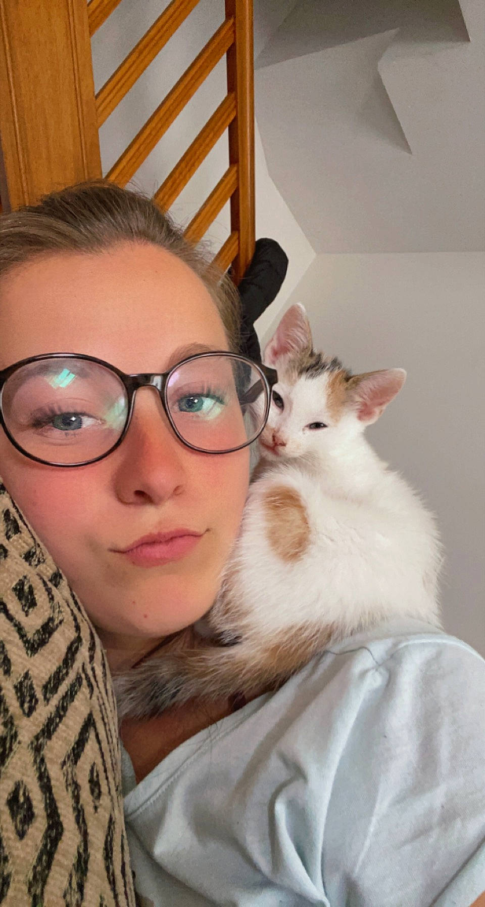 Kyara participe au concours pour gagner de l'argent avec cette photo : carnivore, cat, ear, eye, eyebrow, eyelash, eyewear, fawn, felidae, gesture, happy, iris, long_hair, neck, nose, organ, skin, small_to_medium_sized_cats, vision_care, whiskers