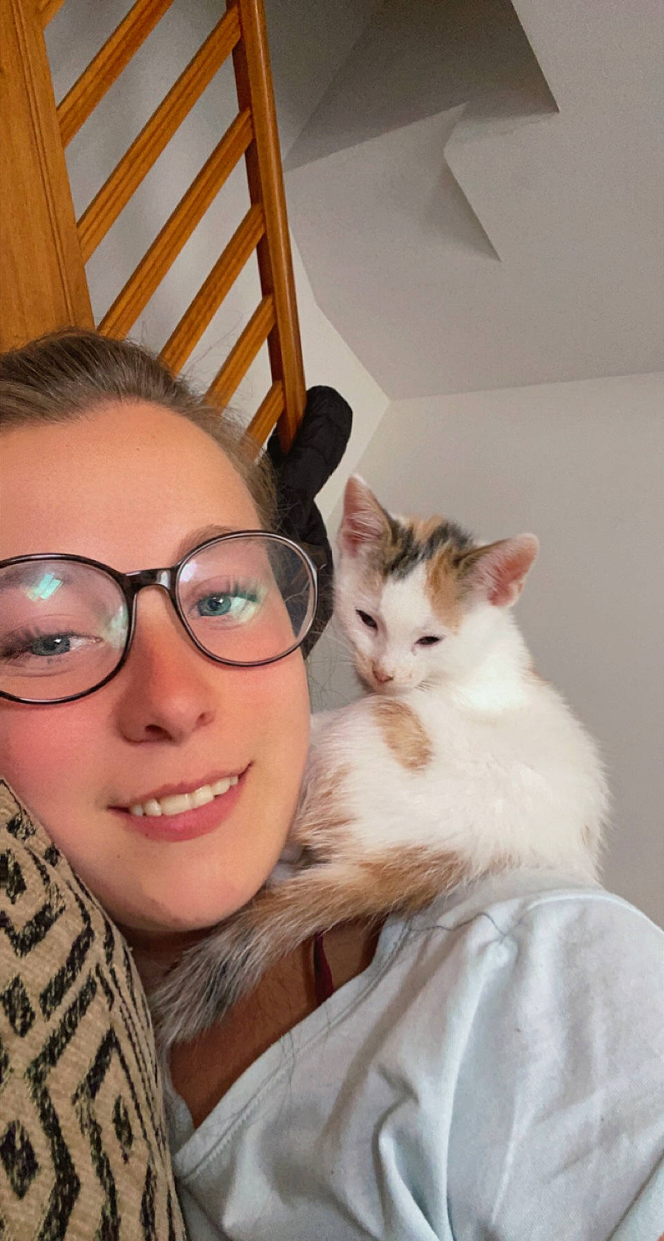 Kyara a rejoint le concours — aidez-le/la à gagner de superbes lots ! carnivore, cat, comfort, ear, eyebrow, eyelash, fawn, felidae, gesture, glasses, iris, mammal, neck, nose, shoulder, skin, small_to_medium_sized_cats, smile, vision_care, whiskers