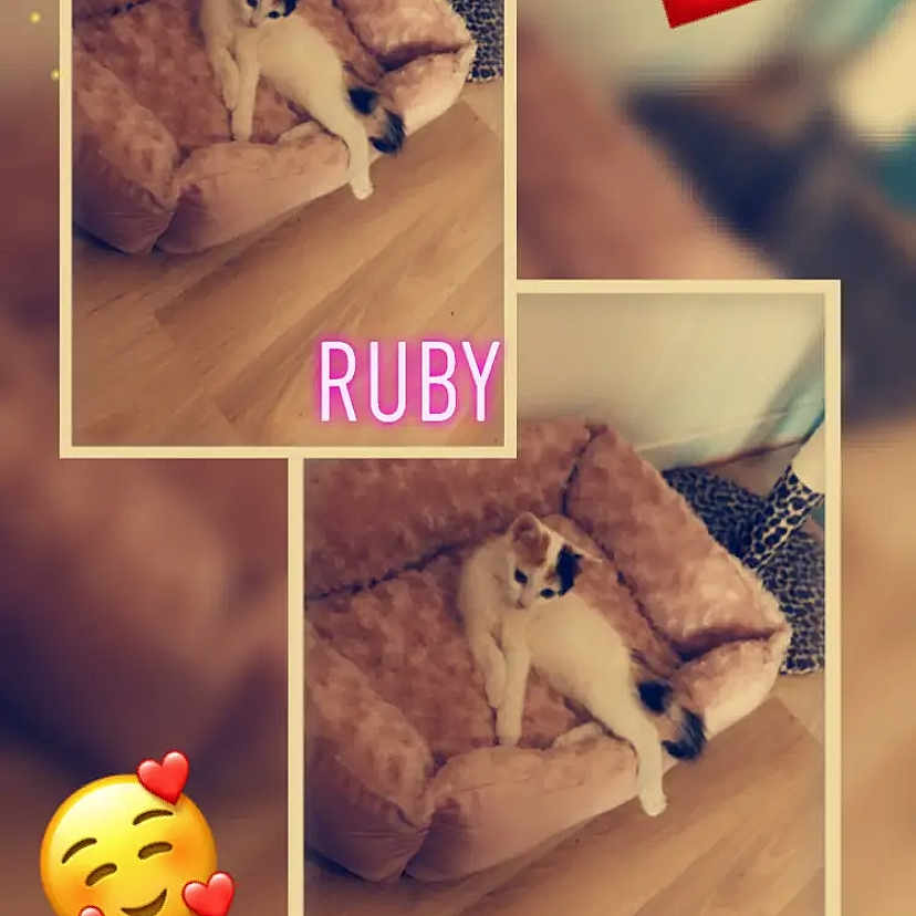 Ruby