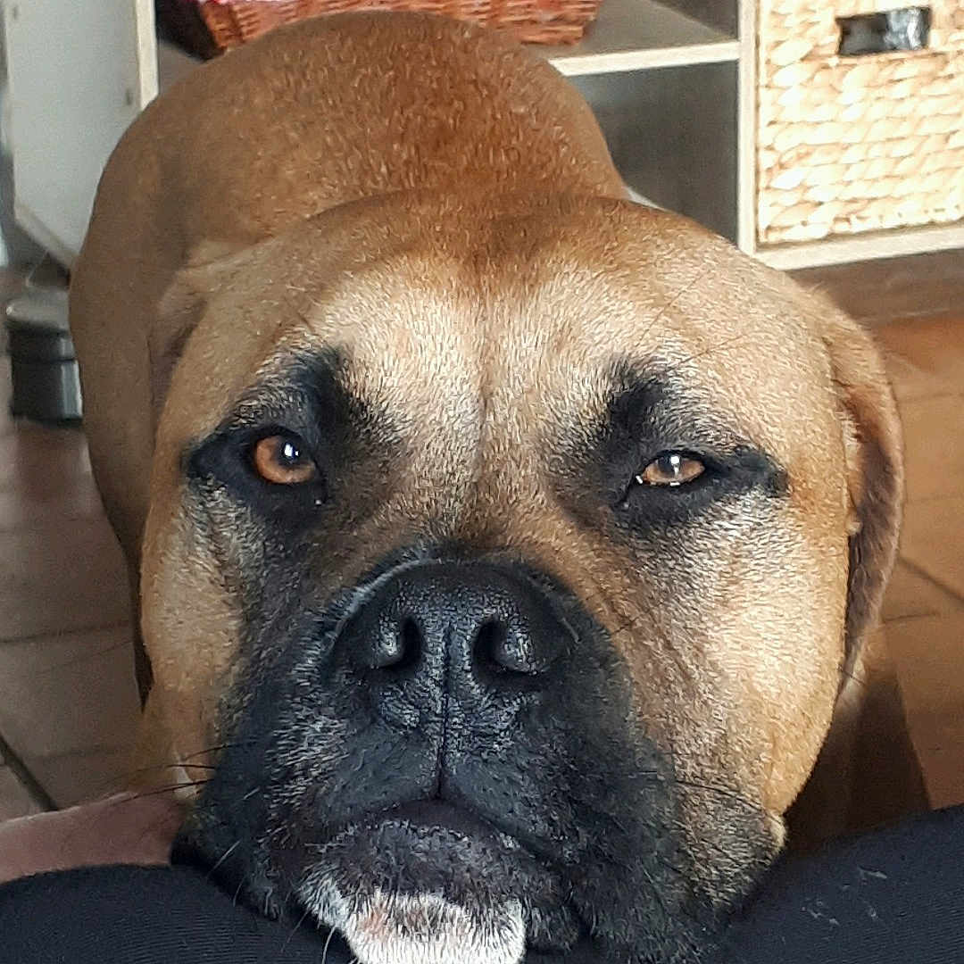 Pixel