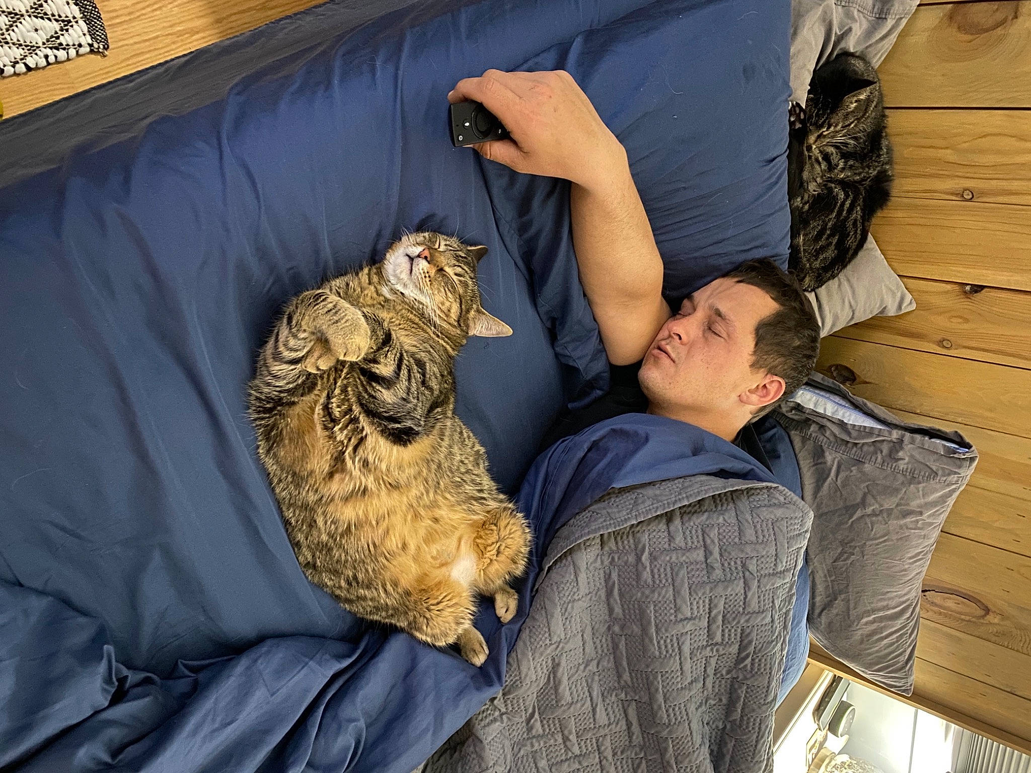 Mr And Kitty is registered to the contest to win money with this photo: big_cats, canidae, carnivore, comfort, companion_dog, couch, dog_breed, domestic_short_haired_cat, felidae, fur, interaction, nap, sitting, small_to_medium_sized_cats, sporting_group, textile, toy, whiskers, wildlife, wildlife_biologist