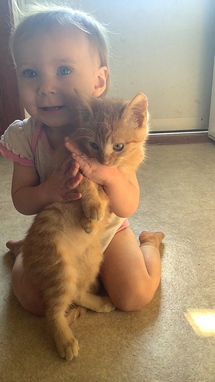 Naviah is registered to the contest to win money with this photo: carnivore, cat, comfort, facial_expression, fawn, felidae, gesture, happy, head, lap, long_hair, mammal, nose, person, photograph, skin, small_to_medium_sized_cats, smile, snapshot, thumb