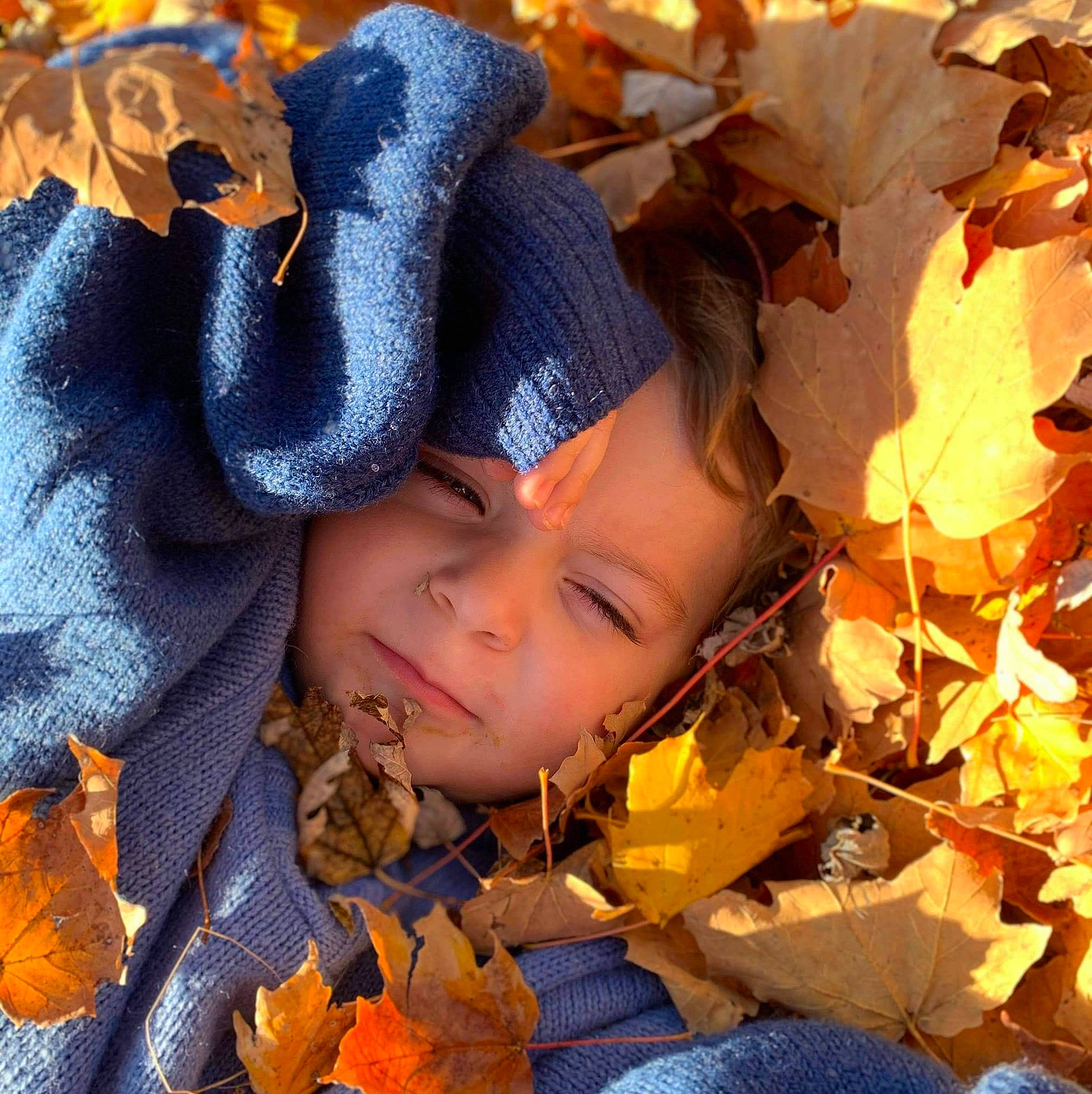 Dom joined the competition — help win amazing prizes! autumn, beauty, child, deciduous, fun, grass, happy, landscape, leaf, orange, pattern, people_in_nature, person, portrait_photography, tints_and_shades, toddler, tradition, tree, twig, winter