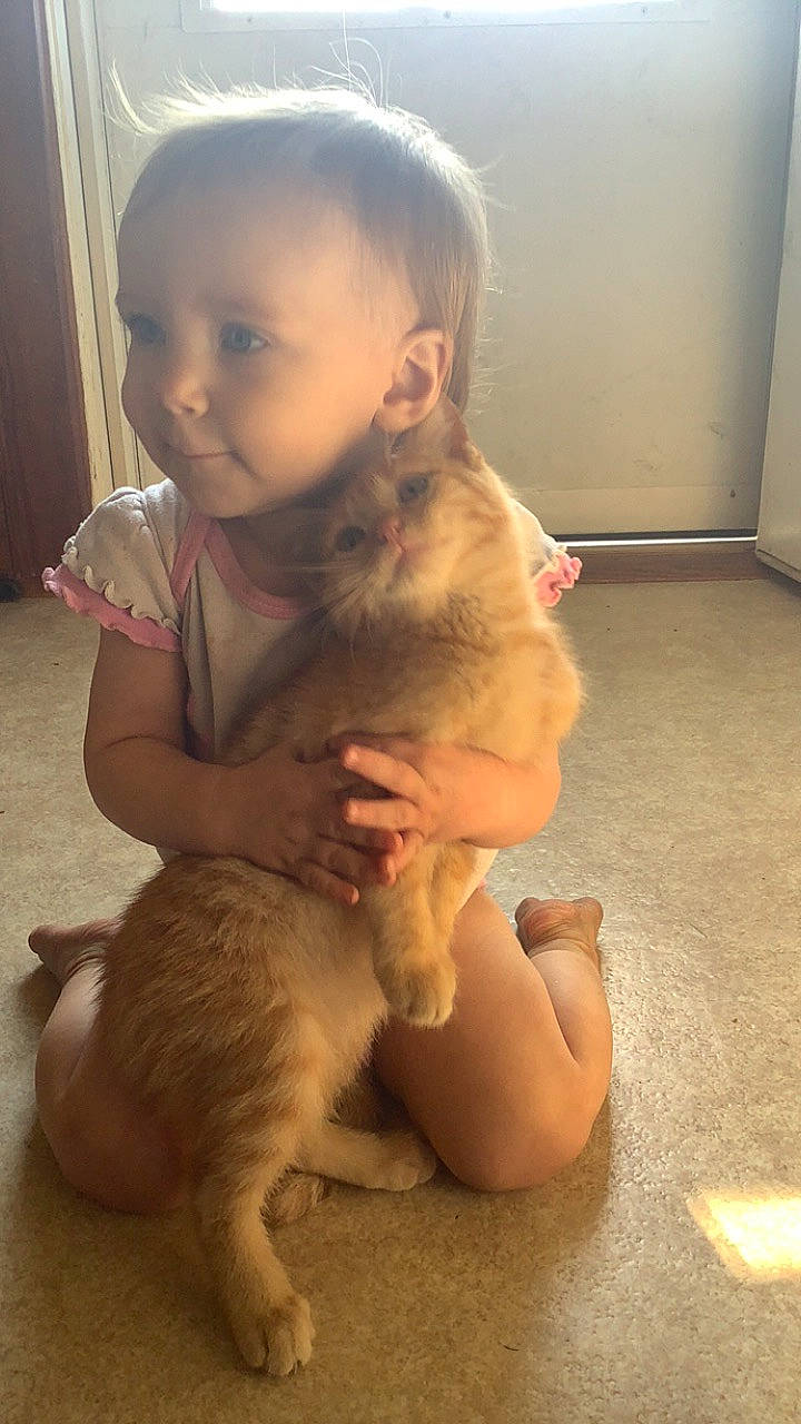 Navi joined the competition — help win amazing prizes! arm, child, companion_dog, dog_breed, ear, eye, fawn, felidae, flooring, gesture, happy, human_body, joint, nose, person, sitting, skin, small_to_medium_sized_cats, smile, toddler
