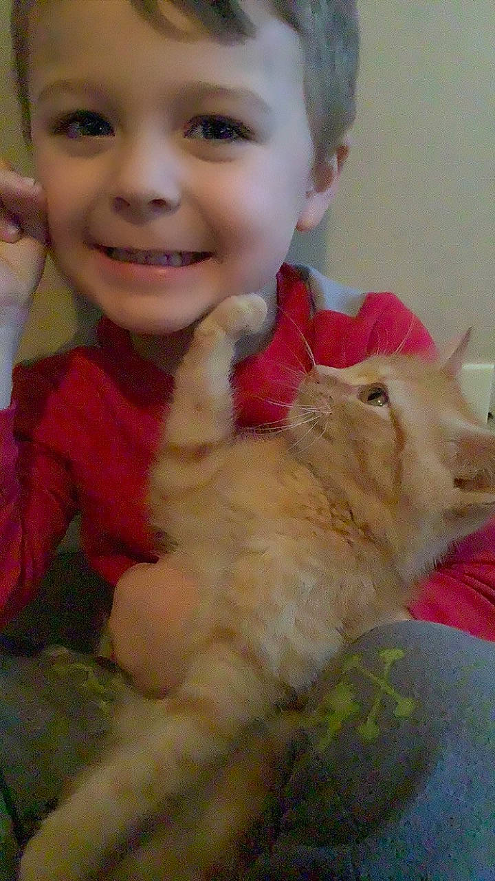 Dominik is registered to the contest to win money with this photo: baby_toddler_clothing, carnivore, cat, cheek, companion_dog, eye, face, fawn, felidae, finger, gesture, hand, happy, head, iris, joy, nose, person, skin, smile