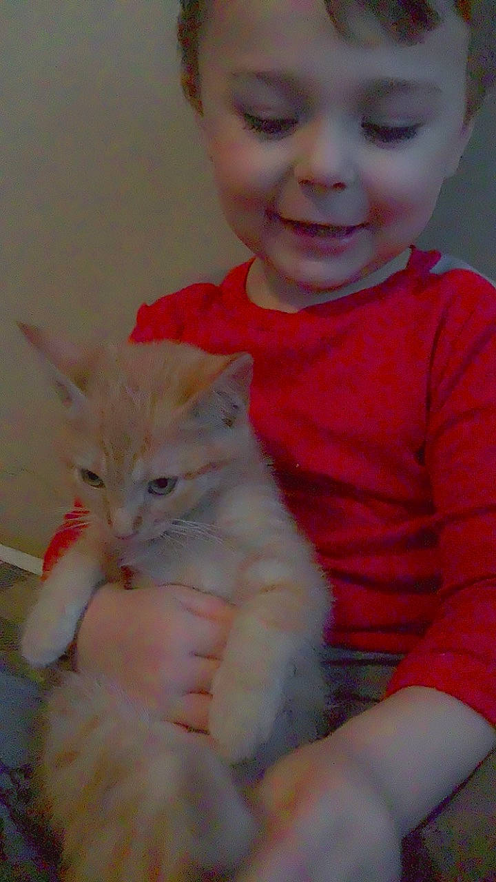 Dominik joined the competition — help win amazing prizes! arm, baby_toddler_clothing, carnivore, cat, cheek, chin, ear, eye, facial_expression, felidae, finger, gesture, hand, head, iris, joy, nose, organ, person, skin