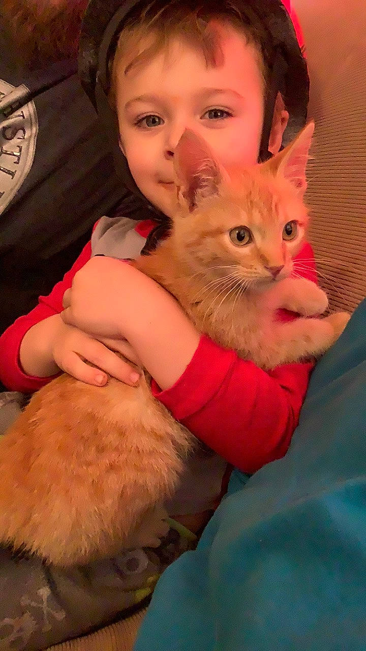 Dominik joined the competition — help win amazing prizes! beard, carnivore, cat, ear, eye, fawn, felidae, gesture, happy, iris, lap, mammal, neck, nose, organ, person, skin, small_to_medium_sized_cats, textile, trunk