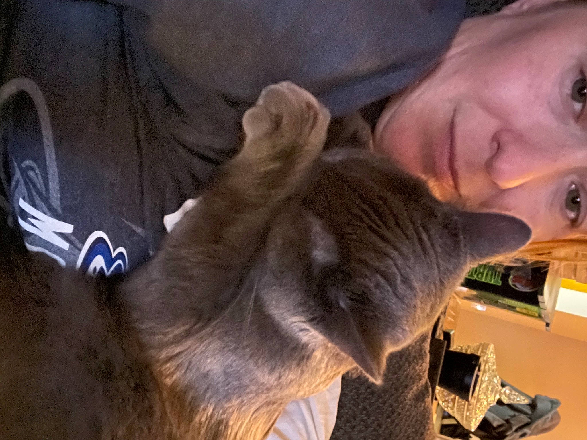 Elwood joined the competition — help win amazing prizes! brown_hair, comfort, companion_dog, ear, eyelash, eyewear, fawn, felidae, fun, fur, gesture, hair_coloring, happy, jaw, nose, selfie, small_to_medium_sized_cats, whiskers, working_animal, wrinkle