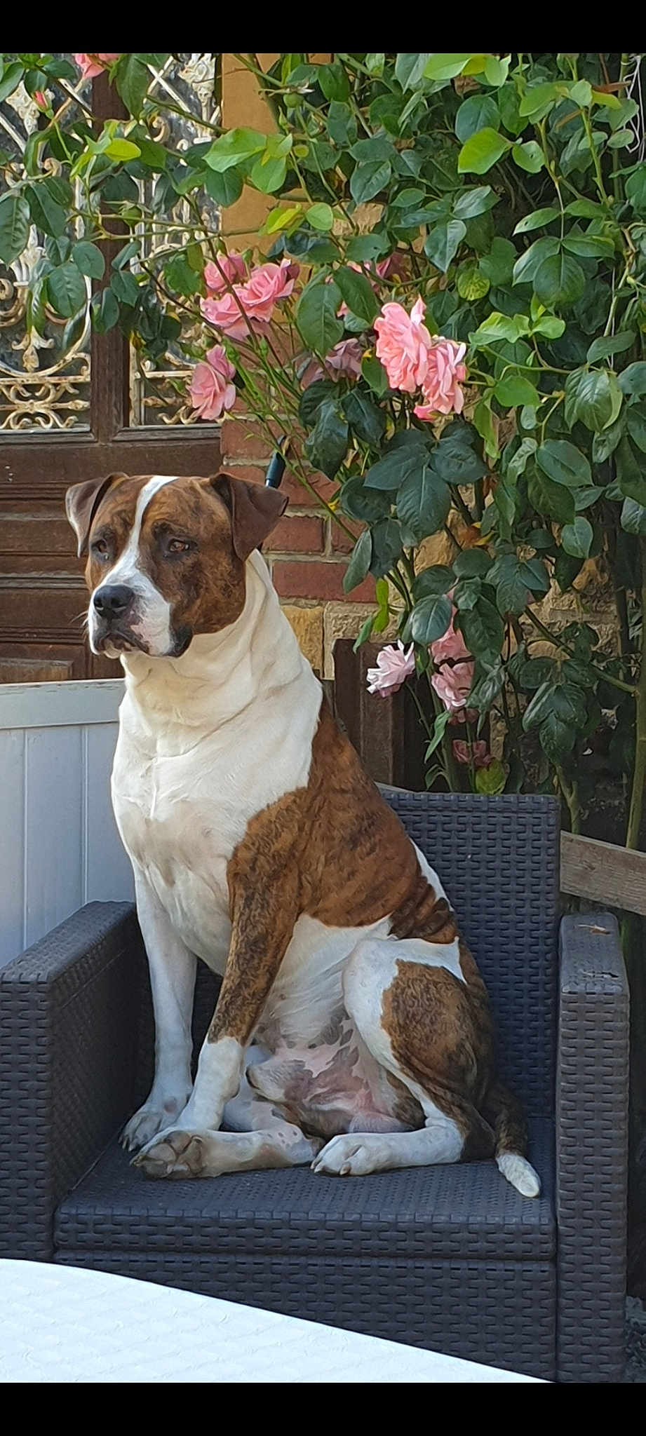 Marley