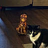 Pretty joined the competition — help win amazing prizes! cat, black_and_white, animal, indoor, wooden_floor, gnome, decor, curious, pet, feline, autumn_colors, cozy, small_gnome, floor_rug, whiskers, ears, eyes, paws, sitting, home