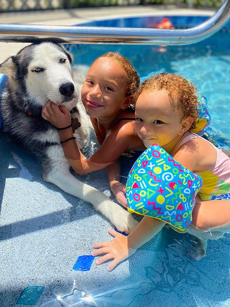Sasha joined the competition — help win amazing prizes! baby, bathing, blue, carnivore, child, companion_dog, dog, dog_breed, event, fun, happy, leisure, recreation, sled_dog, smile, sporting_group, swimming_pool, swimwear, toddler, water