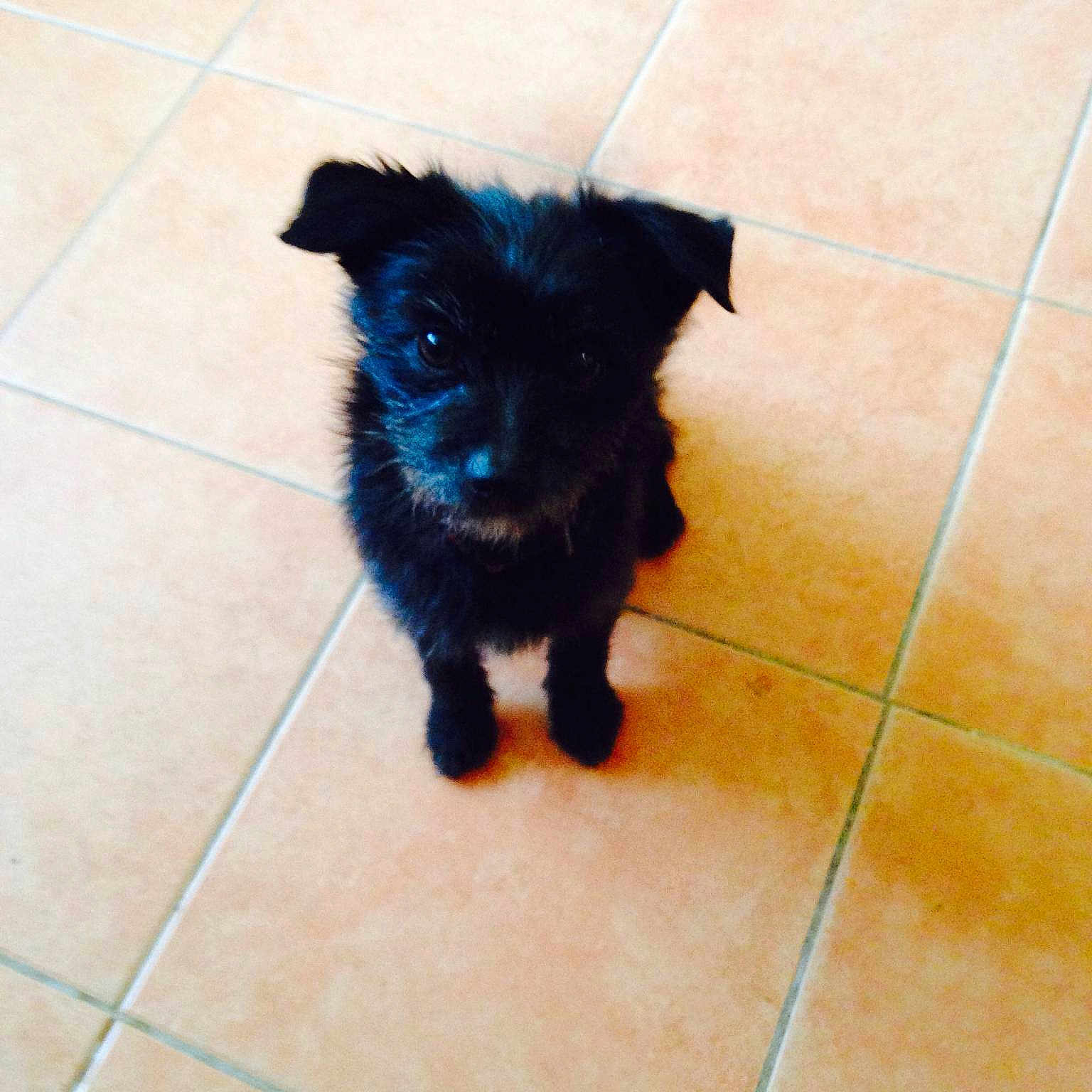 Prince is registered to the contest to win money with this photo: