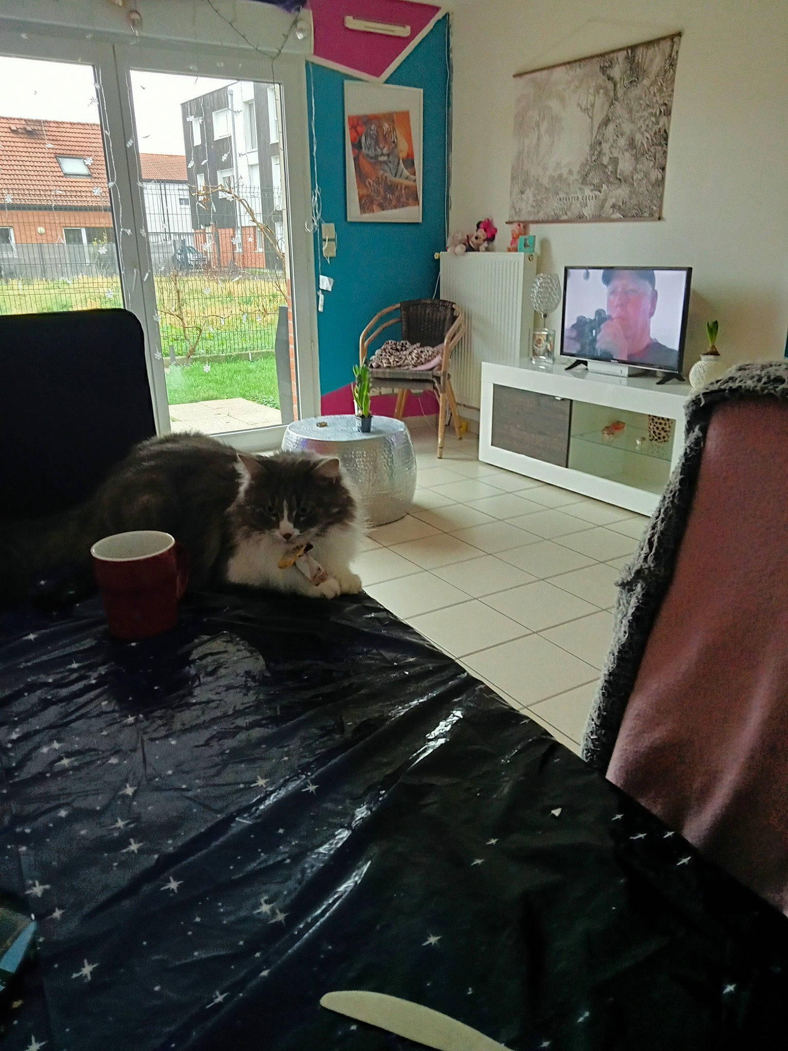 Chanel a rejoint le concours — aidez-le/la à gagner de superbes lots ! bedroom, building, carnivore, cat, comfort, companion_dog, felidae, floor, flooring, furniture, hardwood, house, interior_design, linens, living_room, picture_frame, shade, table, tints_and_shades, wood