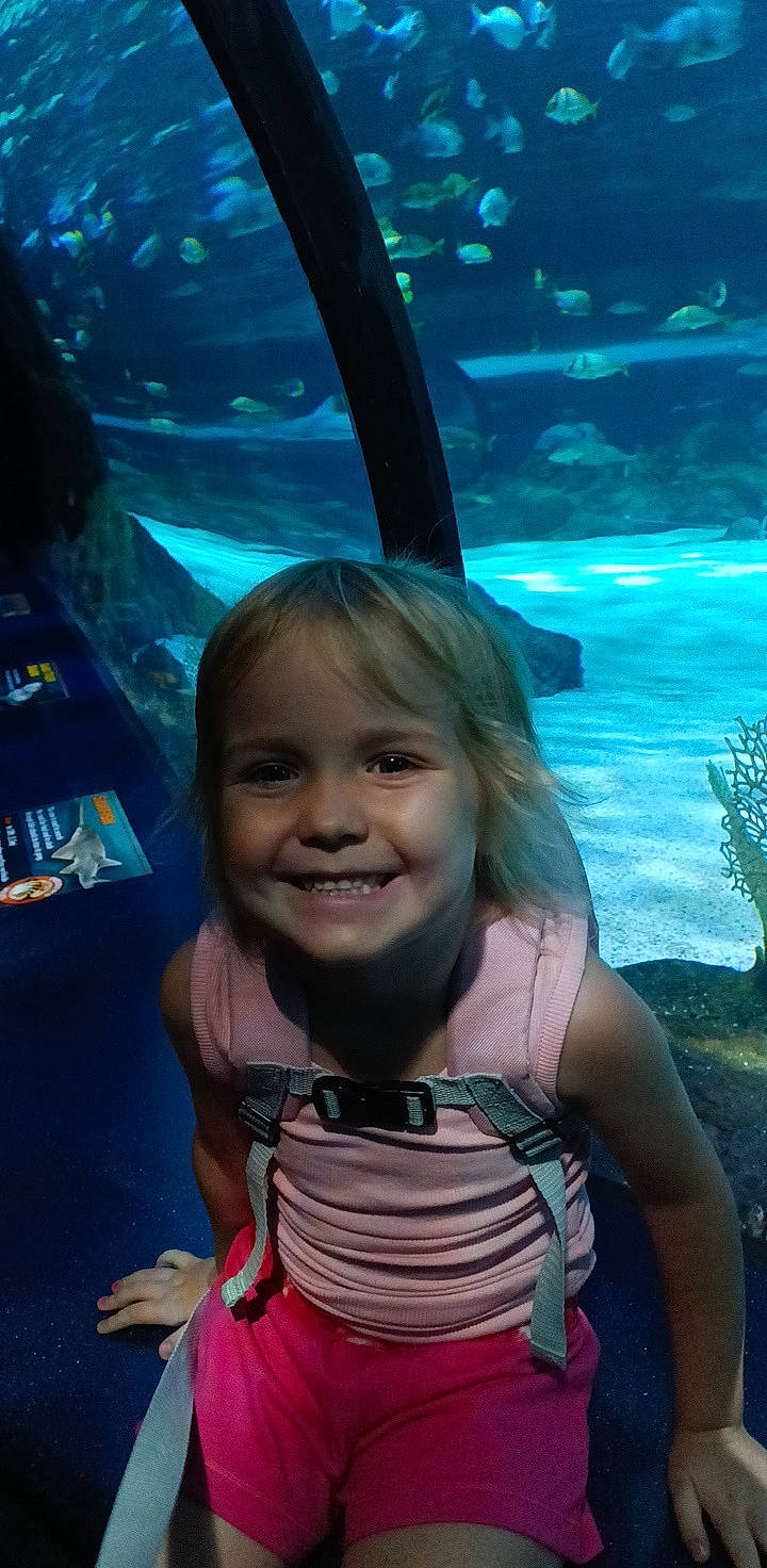 Kylie is registered to the contest to win money with this photo: aquarium, azure, baby_toddler_clothing, blue, cartilaginous_fish, child, electric_blue, fin, fish, fun, happy, joy, leisure, marine_biology, person, plant, recreation, smile, toddler, underwater