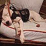 dog, sleeping, white_dog, harness, american_flag_patch, cushion, chair, indoor, resting, relaxed, pet, animal, paw, nose, ears, furniture, striped, leash, close_up, cozy