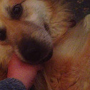 Sean joined the competition — help win amazing prizes!