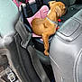 puppy, dog, car_seat, pink, black, car_interior, seatbelt, leather_seat, collar, pet, animal, young_dog, brown_dog, vehicle, window, side_view, travel, adventure, cute, pet_safety