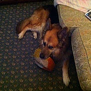 Sean joined the competition — help win amazing prizes!