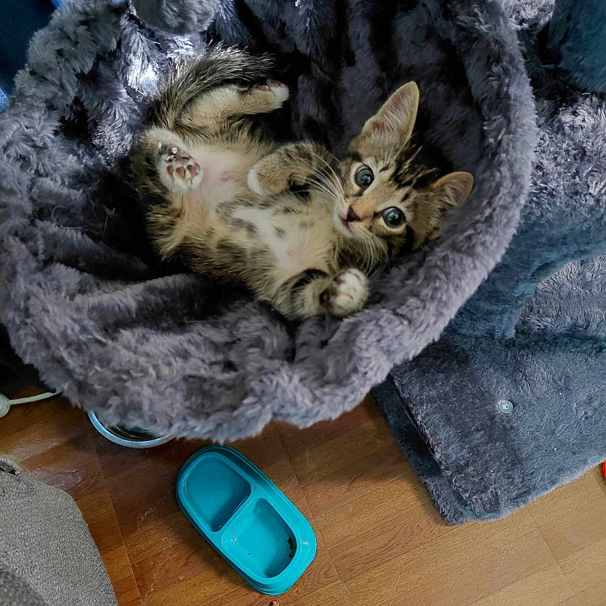 Tigger
