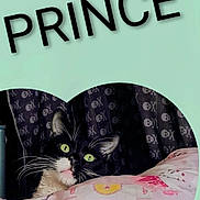 Prince joined the competition — help win amazing prizes! animal, bedroom, black_and_white, blanket, cat, cozy, curtain, cute, face, feline, green_eyes, heart_shape, indoor, pet, portrait, resting, skull_pattern, soft_lighting, text_overlay, whiskers