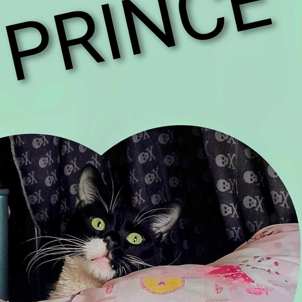 Prince