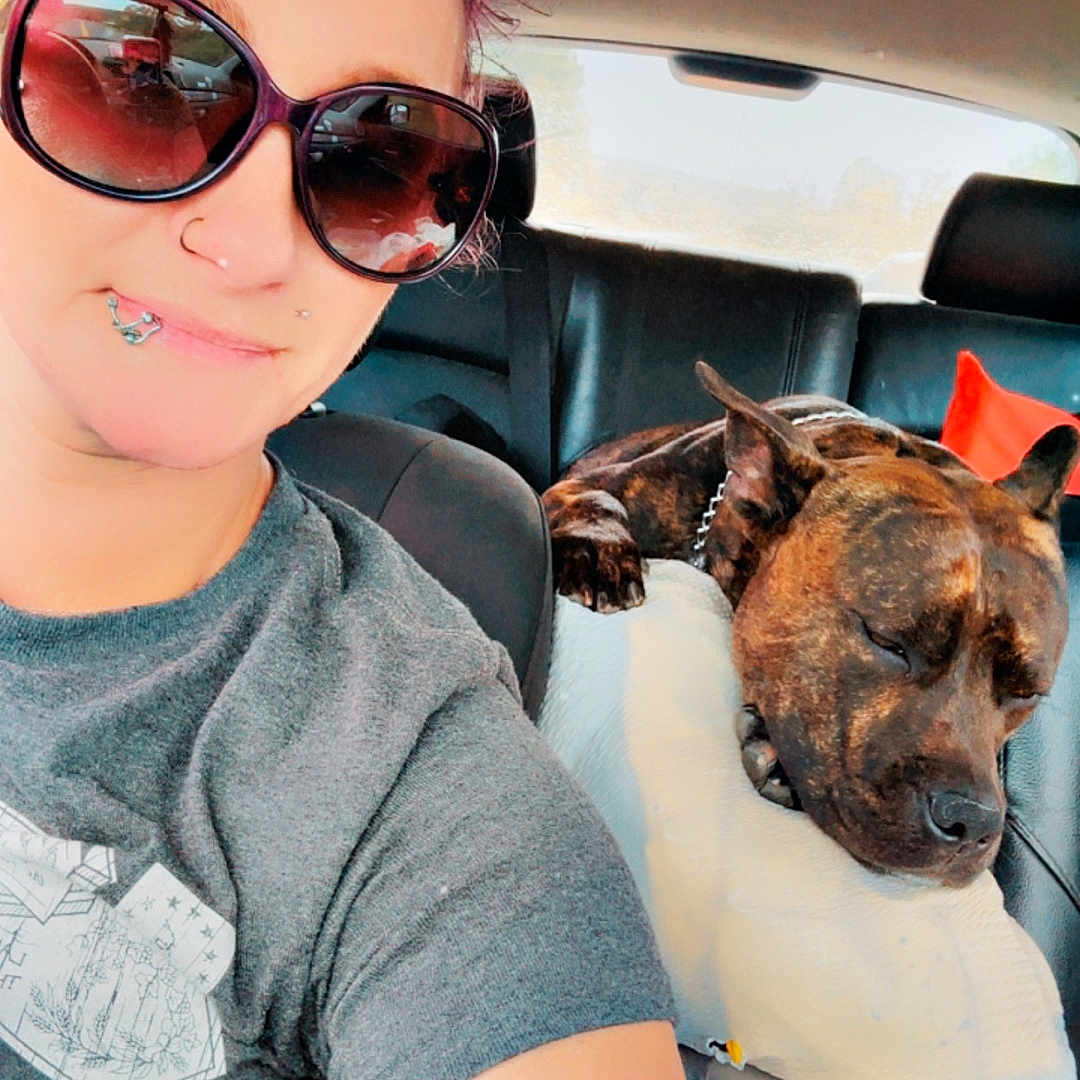King is registered to the contest to win money with this photo: person, dog, car_interior, sunglasses, seat, pillow, brindle_dog, tattoo, nose_ring, piercing, tshirt, window, headrest, seatbelt, relaxed, resting_dog, human_face, vehicle, casual, indoor