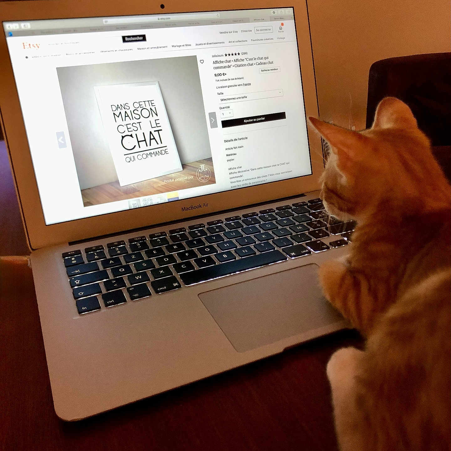 Caline a rejoint le concours — aidez-le/la à gagner de superbes lots ! cat, closeup, computer_keyboard, cozy, curious_cat, etsy_website, feline, home, indoor, internet_shopping, laptop, macbook_air, orange_tabby, pet, poster, screen, table, technology, warm_lighting, wooden_table