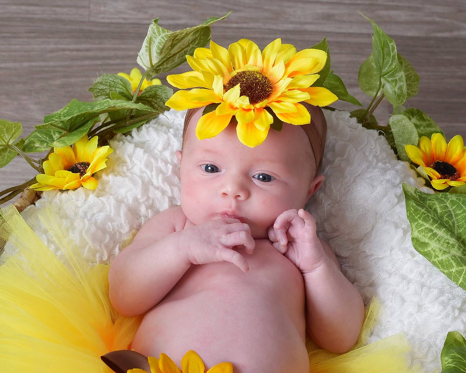 Sophia is registered to the contest to win money with this photo: baby, baby_toddler_clothing, child, comfort, cut_flowers, fashion_accessory, flower, flower_arranging, grass, happy, headband, headpiece, headwear, leaf, orange, people_in_nature, person, petal, plant, spring