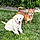 Dolly And Reba