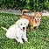 Dolly And Reba