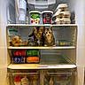 animal, cans, cat, curious, cute, dairy, eggs, food, fresh, fridge, glass_container, indoor, kitten, pets, plastic_container, playful, refrigerator, shelf, snack, yogurt