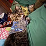 cat, tabby, pet_clothing, quilt, bedding, indoor, feline, fur, relaxed, striped, gray_shirt, household, cozy, furniture, blanket, animal, resting, cute, domestic_animal, soft
