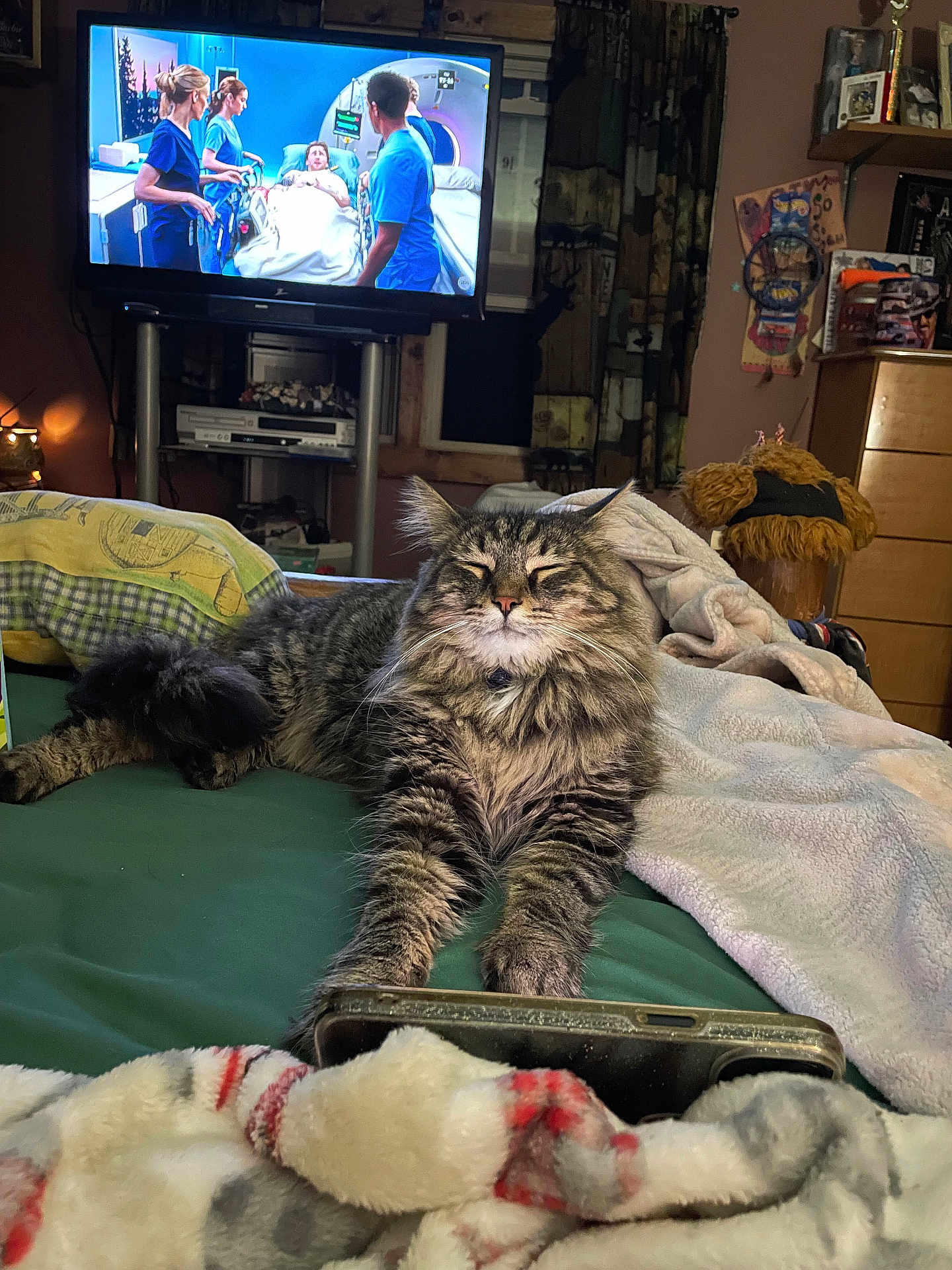 Slash joined the competition — help win amazing prizes! cat, tabby, bed, blanket, phone, television, medical_drama, room, furniture, curtains, dresser, stuffed_toy, cozy, indoor, fluffy, relaxed, sleepy, pet, home, electronics
