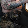 tattooed_person, tattoos, shirtless, cat, tortoiseshell_cat, pet, animal, indoor, lap, hair, whiskers, feline, close_up, seated, relaxed, skin, arm, table, black_clothing, companion
