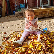 Lilibeth is registered to the contest to win money with this photo: baby, child, pacifier, autumn, leaves, outdoor, sunlight, brick_wall, wooden_deck, concrete, toy, white_shoes, pink_pants, polka_dot_shirt, smiling, sitting, fall, garden_tools, playful, cute