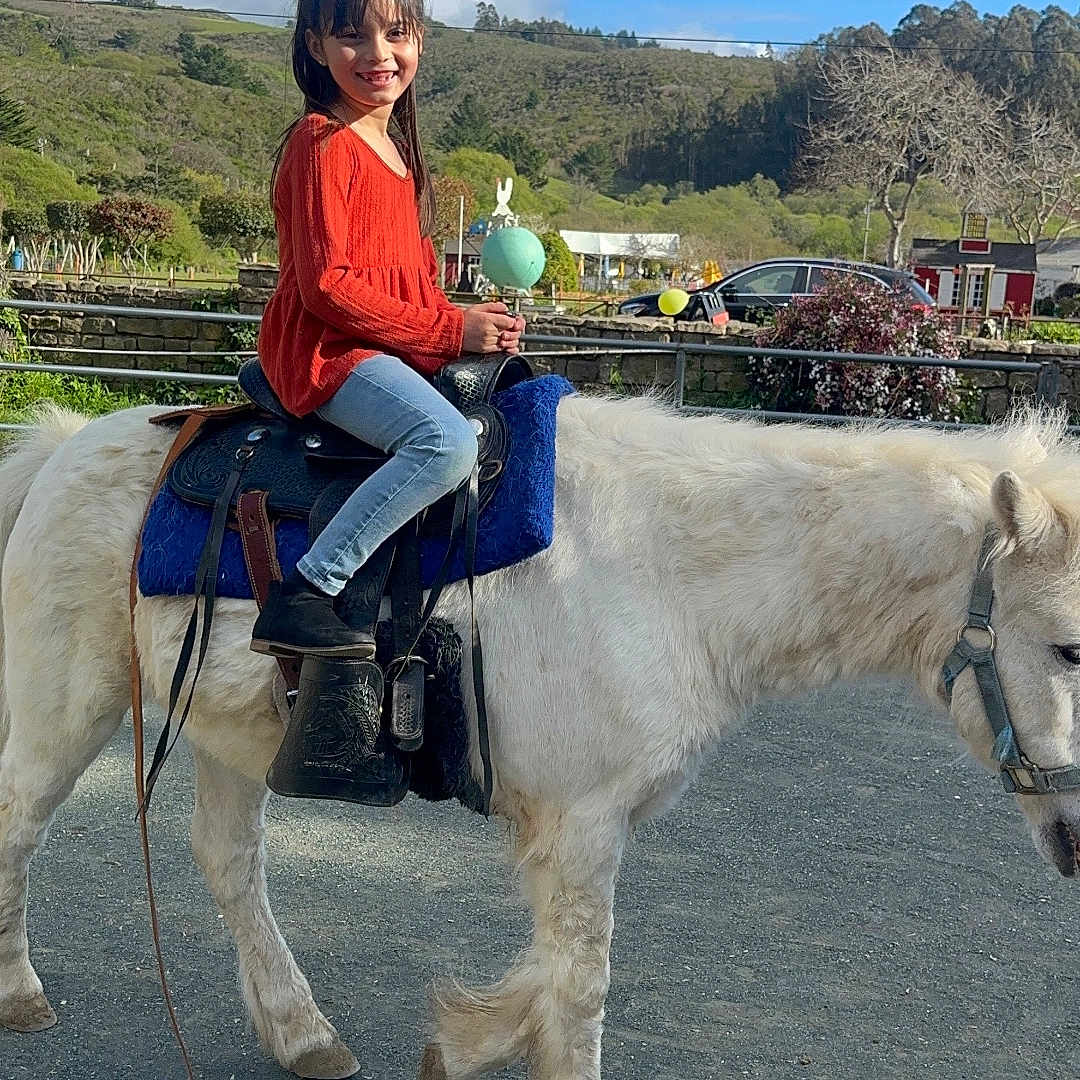 Alexa is registered to the contest to win money with this photo: animal, car, clothing, equestrian, face, female, footwear, girl, head, horse, outdoors, pants, person, photography, portrait, shoe, sitting, teen, transportation, vehicle