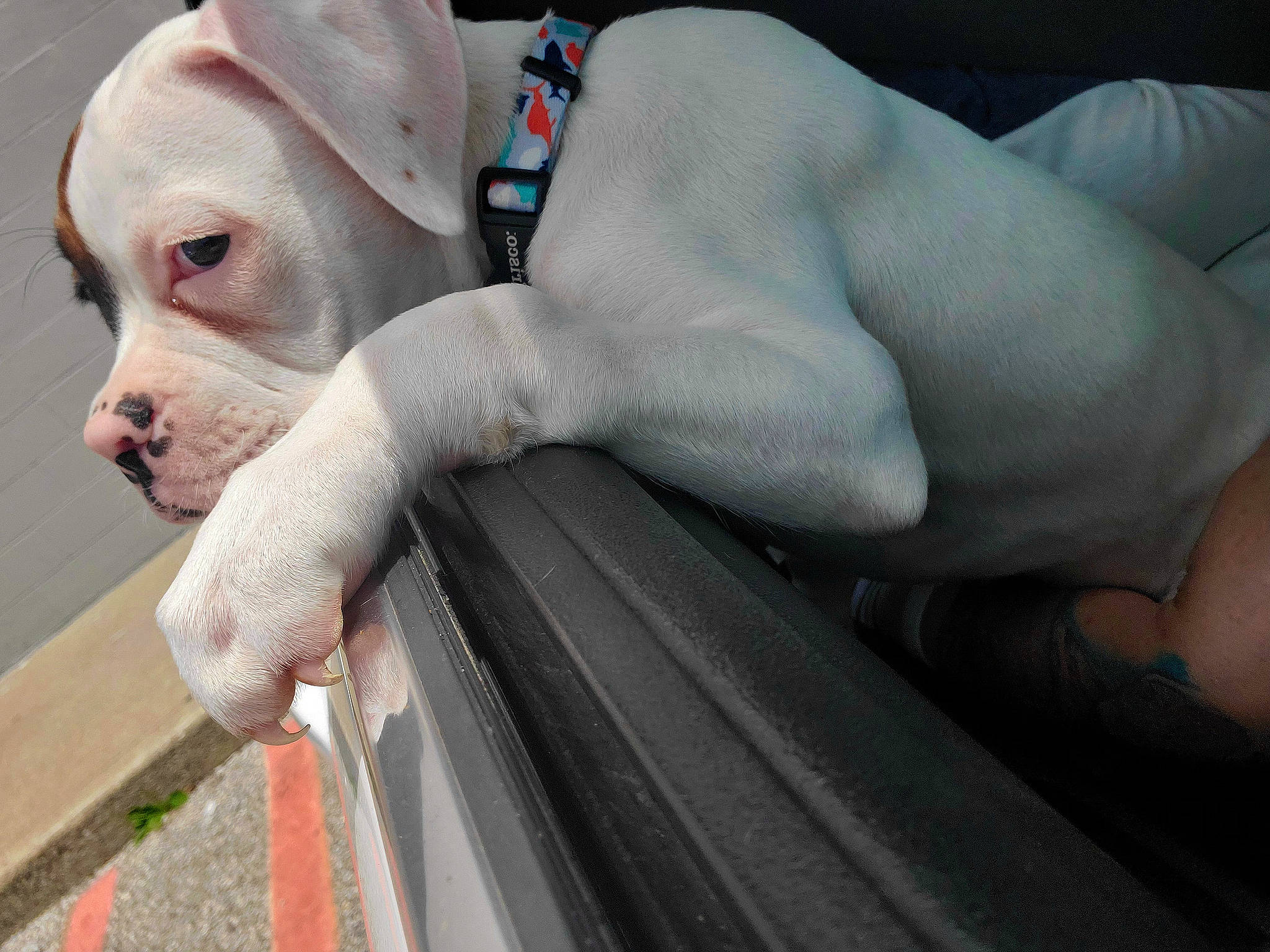 A.j is registered to the contest to win money with this photo: arm, barechested, bathing, chest, elbow, eyebrow, eyelash, finger, flesh, hand, jaw, nail, neck, personal_protective_equipment, service, snout, swimming_pool, thumb, wrinkle, wrist