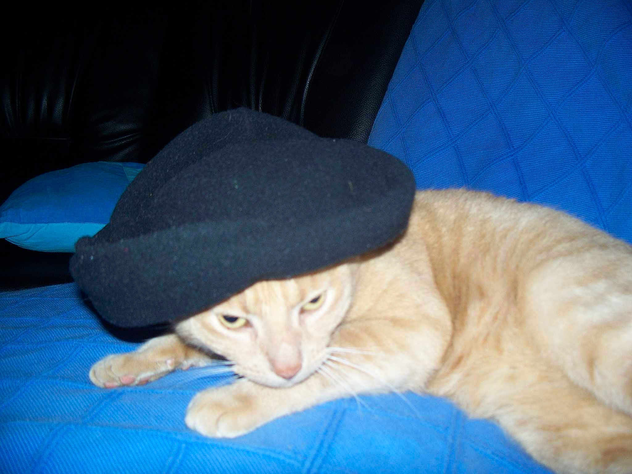 Loulou