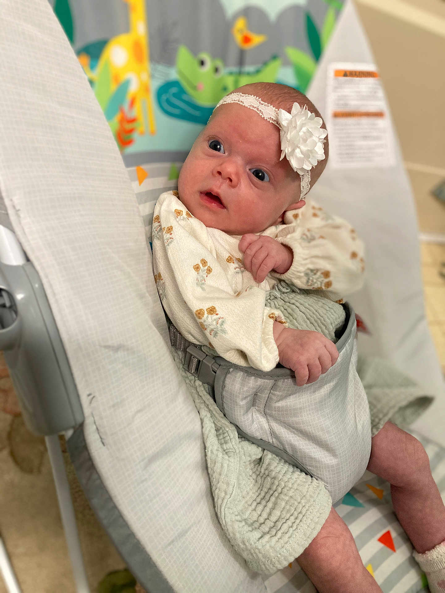 Sophia is registered to the contest to win money with this photo: baby, infant, headband, flower, baby_seat, curious, clothing, pattern, animal_print, pastel_colors, blanket, soft_texture, indoor, child, cute, alert, newborn, comfortable, young, portrait