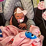 Sophia joined the competition — help win amazing prizes! baby, infant, car_seat, pacifier, blanket, pink_bow, headband, cute, wrapped, cozy, child, newborn, soft_blanket, indoor, seatbelt, fabric, comfort, resting, small_hand, adorable