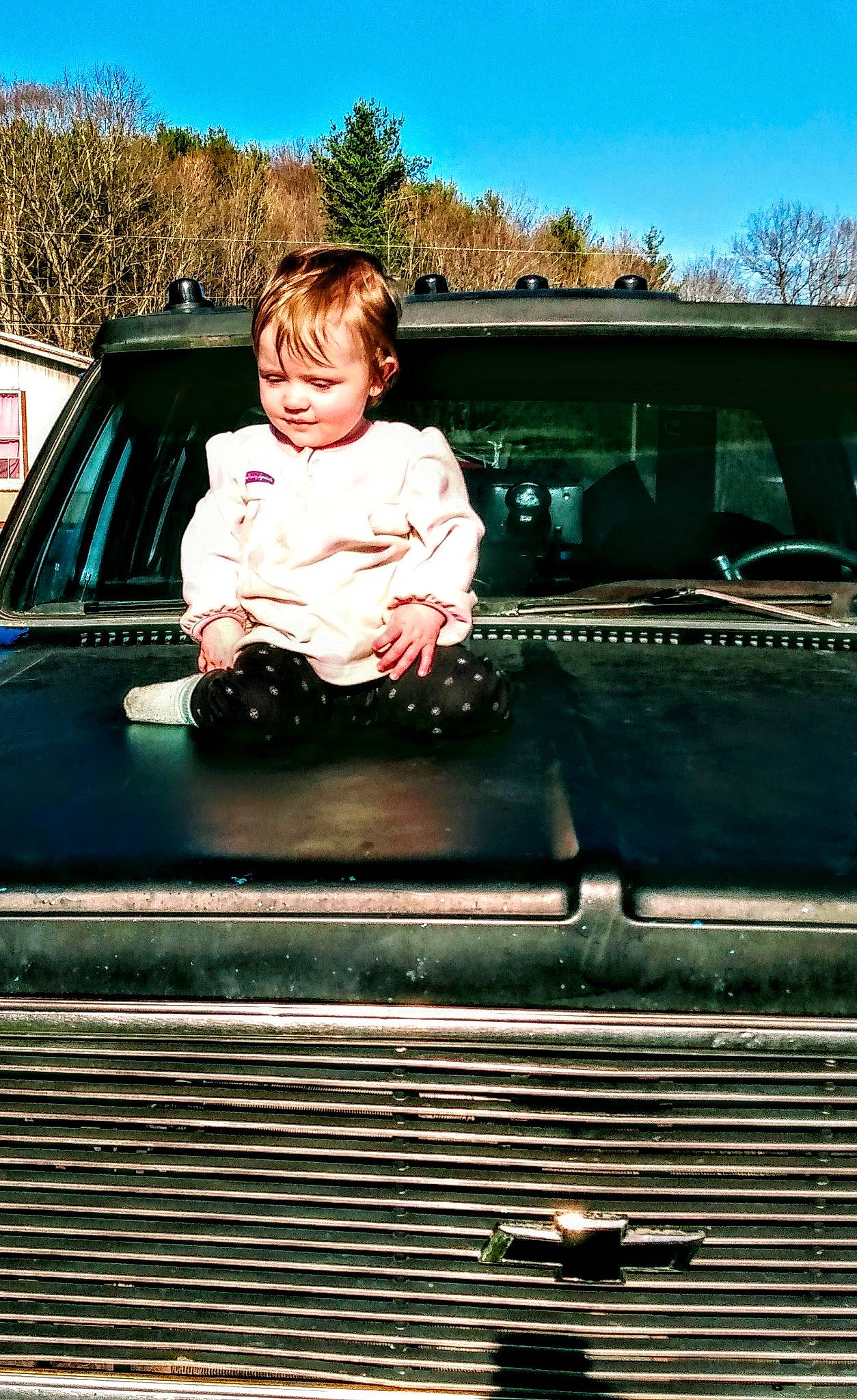 Sabrina joined the competition — help win amazing prizes! automotive_design, automotive_exterior, automotive_lighting, automotive_tire, bumper, car, grass, green, grille, headlamp, hood, mode_of_transport, motor_vehicle, person, sky, toddler, tree, vehicle, vehicle_door, window