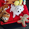 puppy, dog, pet_bed, stuffed_toys, red_bed, white_puppy, toy_caterpillar, toy_gingerbread_man, toy_fox, tile_floor, indoor, cute, small_dog, fluffy, playful, animal, pet, soft_toys, resting, cozy