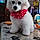 Maëlys