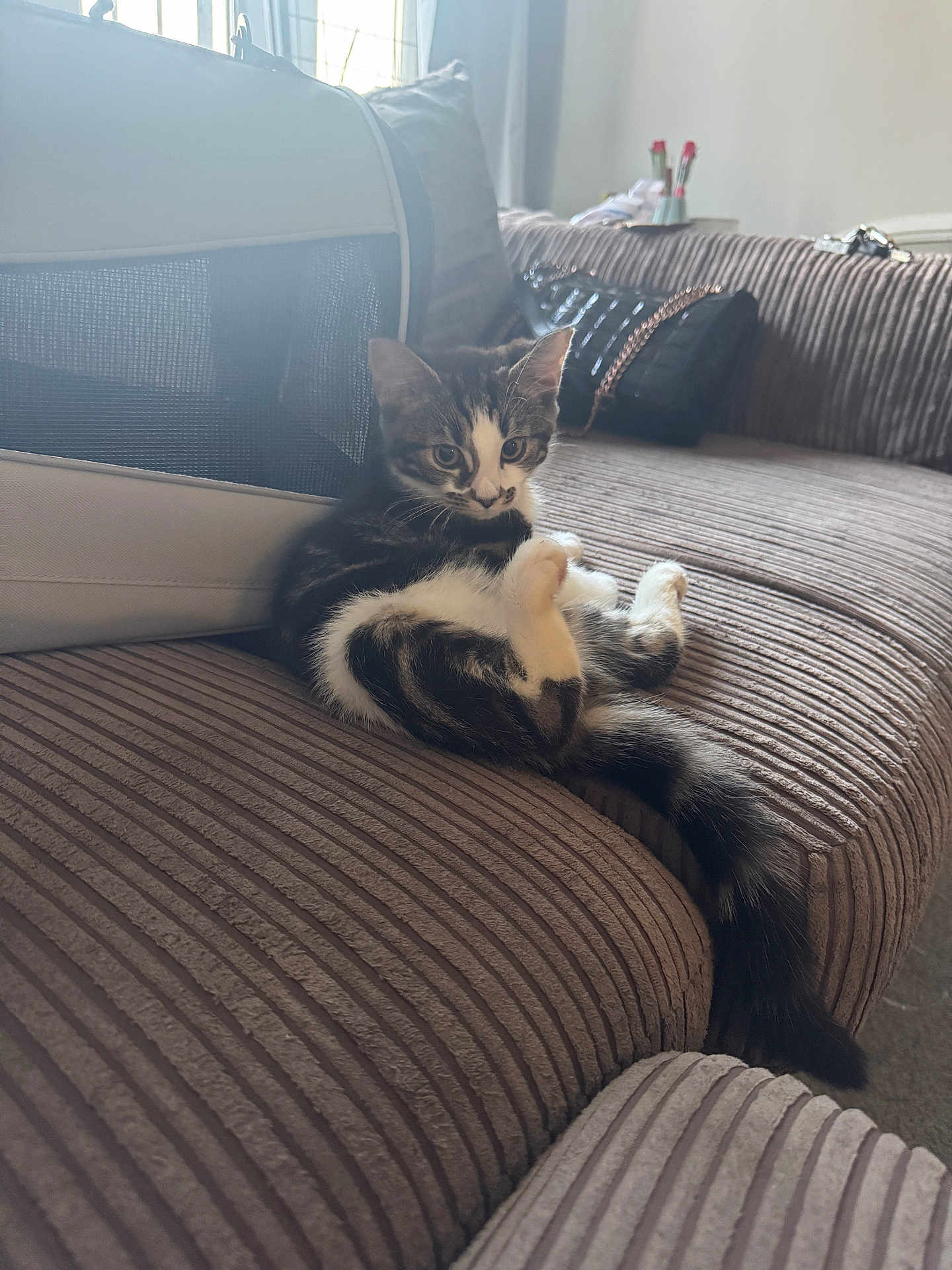 Milo