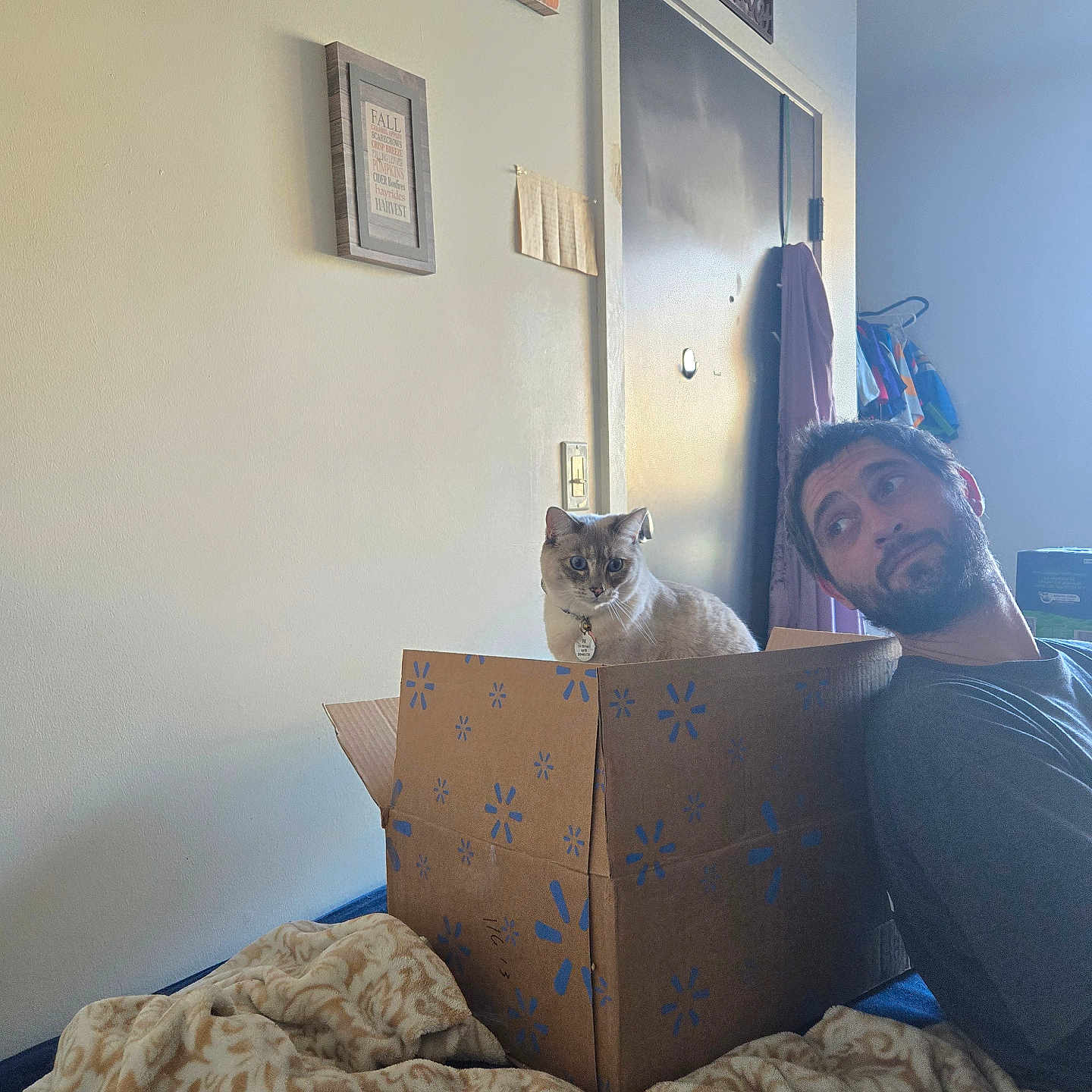 Fifi is registered to the contest to win money with this photo: adult, animal, bed, bedroom, box, cat, couch, face, furniture, head, indoors, interiordesign, male, man, person, pet, photoframe, photography, portrait, room