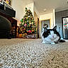 cat, black_and_white_cat, pet, animal, christmas_tree, christmas, holiday, ornaments, lights, living_room, kitchen, carpet, indoor, portrait, sitting, fluffy, green_eyes, pink_nose, home, festive